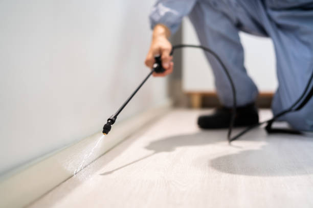 Certified termite inspector examining foundation in Glenpool